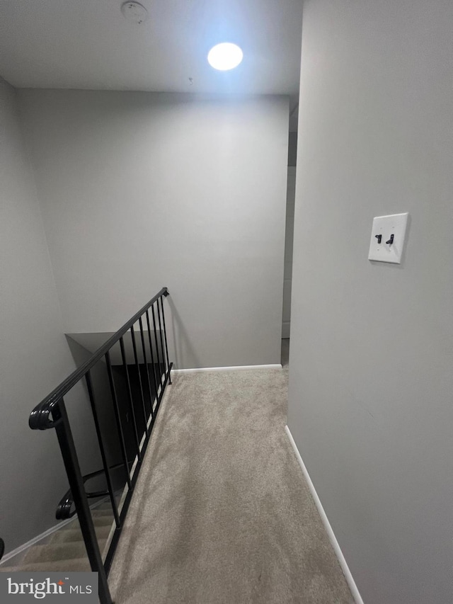 9031 Continental Pl, Landover, MD 20785 - stairs with carpet and baseboards