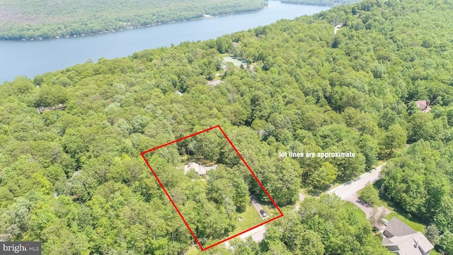 793 Mountainview Dr, Oakland, MD 21550 - aerial view of property's location with a large body of water and property boundaries highlighted