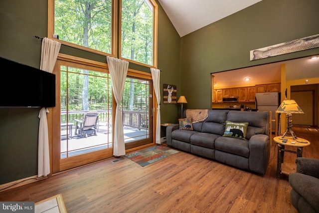 793 Mountainview Dr, Oakland, MD 21550 - living area featuring high vaulted ceiling and wood finished floors