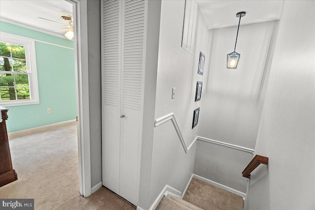 3498 Augusta Dr, Ijamsville, MD 21754 - stairs with carpet flooring, baseboards, and ceiling fan