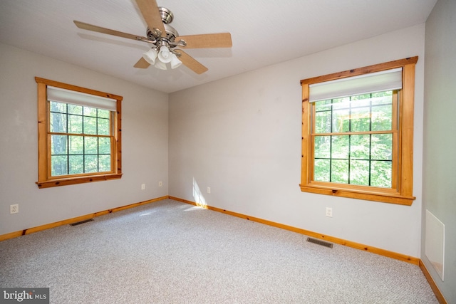 129 Bucks Crossing Ln, Accident, MD 21520 - carpeted spare room with plenty of natural light and a ceiling fan