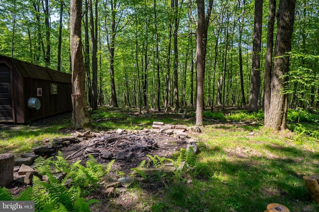 129 Bucks Crossing Ln, Accident, MD 21520 - view of yard with an outbuilding and a forest view