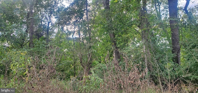 LOT354 River View Shores Dr, Front Royal, VA 22630