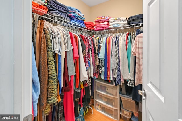 11684 Kensington Way, Laurel, DE 19956 - view of walk in closet
