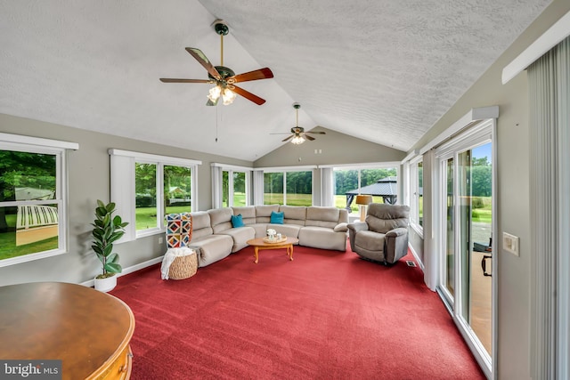 284 Little New York Rd, Rising Sun, MD 21911 - sunroom / solarium featuring lofted ceiling, carpet, healthy amount of natural light, and a textured ceiling