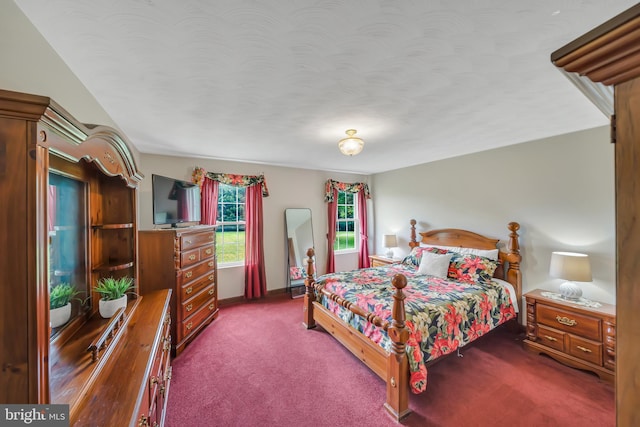 284 Little New York Rd, Rising Sun, MD 21911 - view of carpeted bedroom