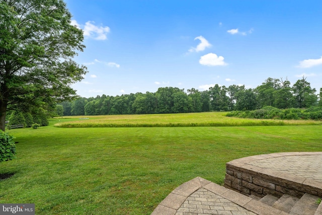 284 Little New York Rd, Rising Sun, MD 21911 - view of grassy yard