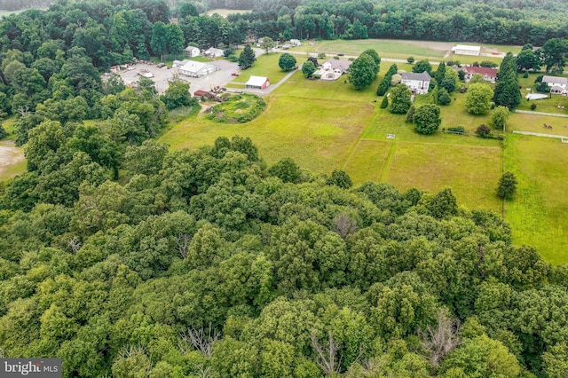 284 Little New York Rd, Rising Sun, MD 21911 - drone / aerial view of a forest