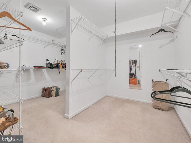 3002 Ridgeview Dr, Orwigsburg, PA 17961 - spacious closet featuring carpet