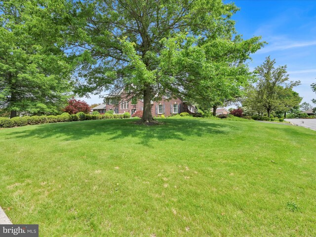 3002 Ridgeview Dr, Orwigsburg, PA 17961 - view of grassy yard
