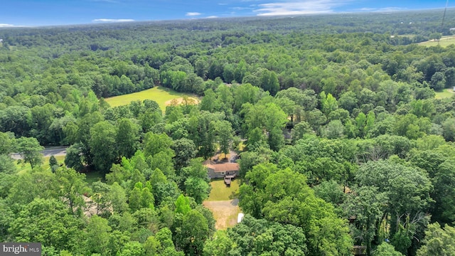 38390 Golden Beach Rd, Mechanicsville, MD 20659 - aerial view of property and surrounding area featuring a forest