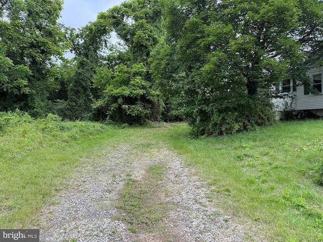 3602 Tulip Ave, Baltimore, MD 21227 - view of road