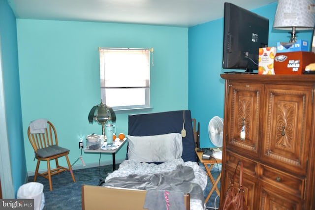 807 Rabbit Ln, Reading, PA 19606 - view of carpeted bedroom