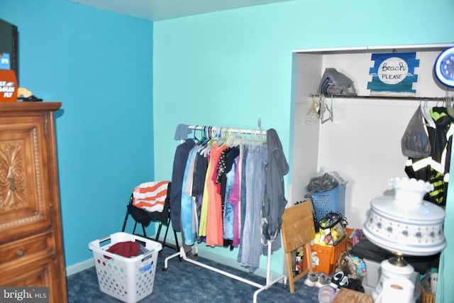 807 Rabbit Ln, Reading, PA 19606 - view of carpeted bedroom