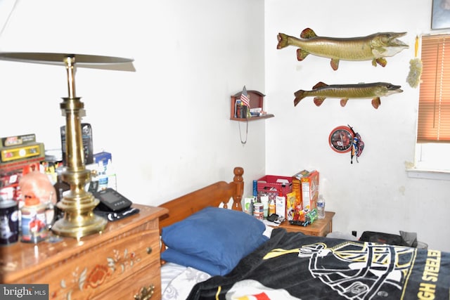 807 Rabbit Ln, Reading, PA 19606 - view of bedroom