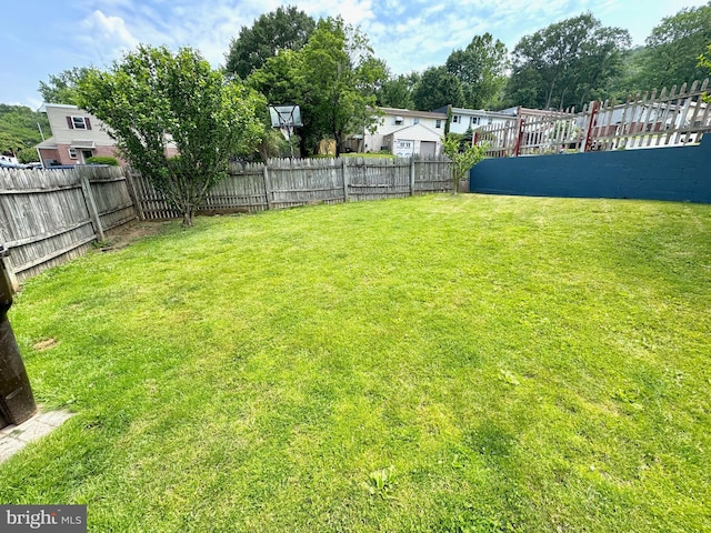 807 Rabbit Ln, Reading, PA 19606 - view of yard
