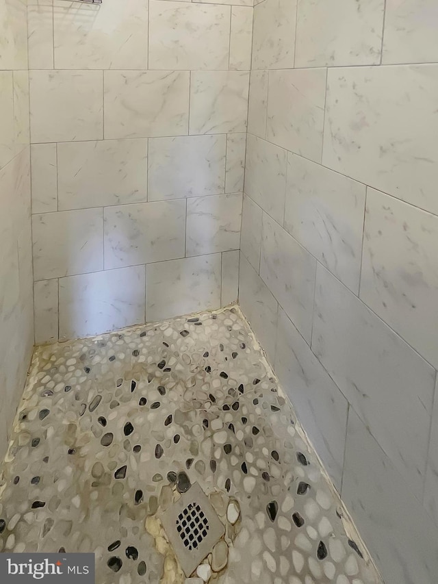 1507 E Duval St, Philadelphia, PA 19138 - bathroom view of a tile shower
