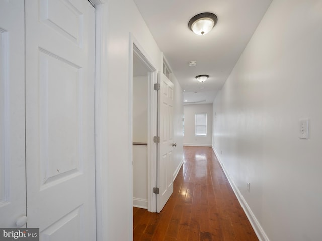 1705 E Chase St, Baltimore, MD 21213 - hall featuring dark wood-style floors and baseboards