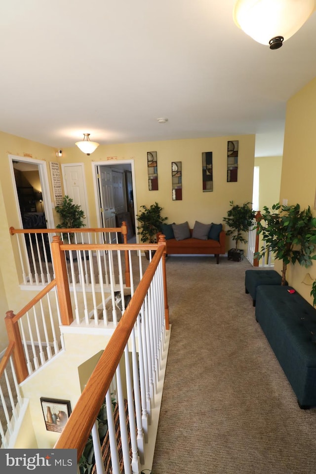 14 Riverside Rd, Dover, DE 19904 - hallway with an upstairs landing and carpet