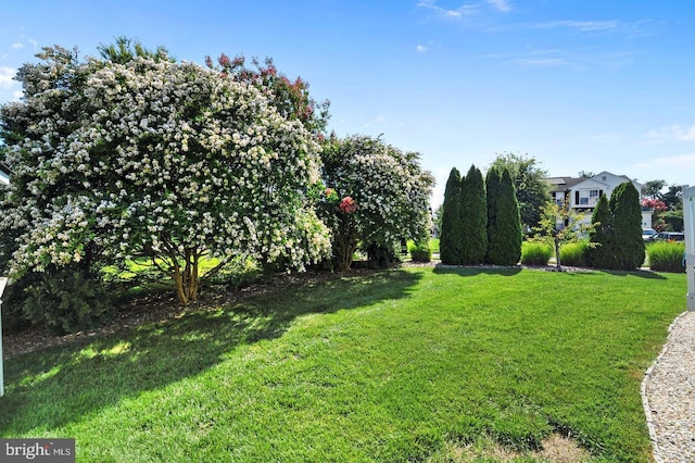 14 Riverside Rd, Dover, DE 19904 - view of green lawn