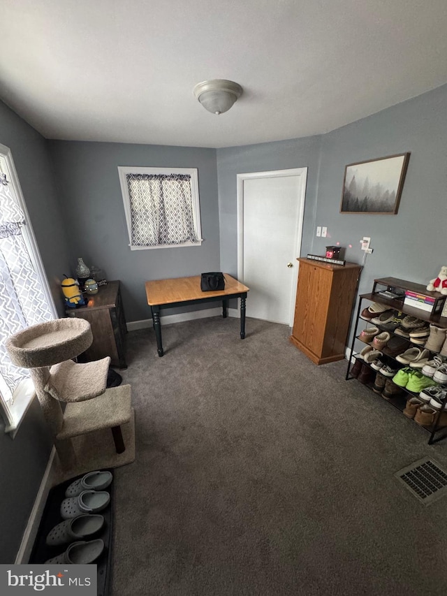1213 W College Ave, York, PA 17404 - living area with carpet, plenty of natural light, and baseboards