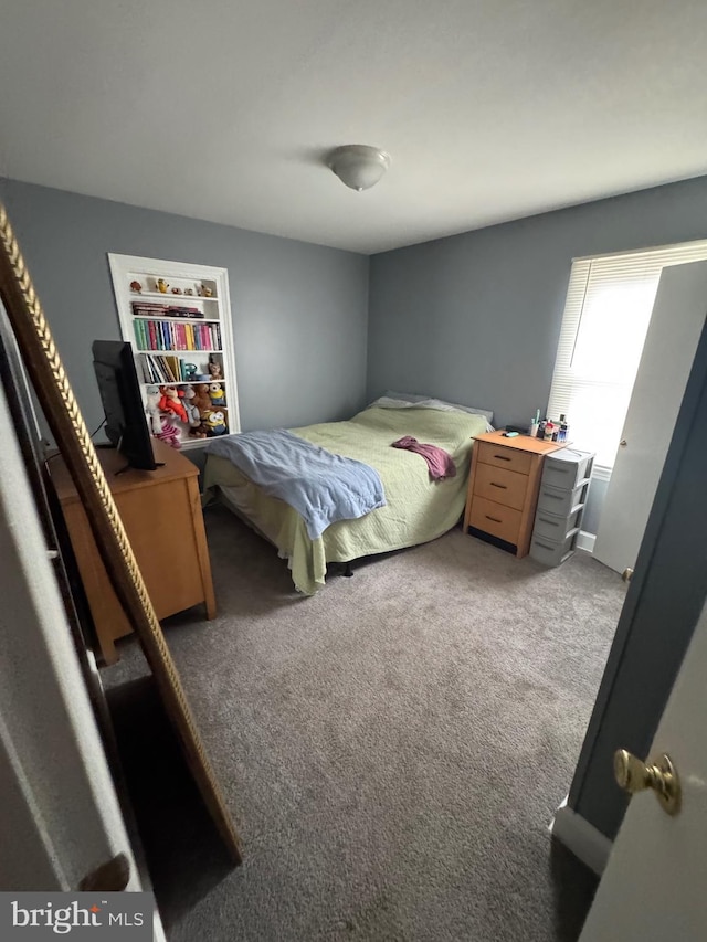 1213 W College Ave, York, PA 17404 - view of carpeted bedroom