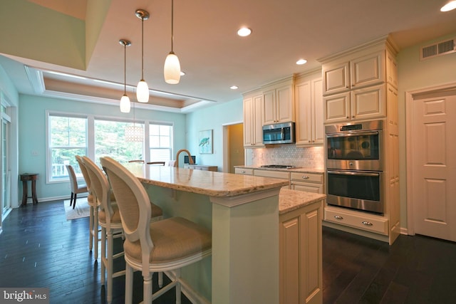29486 Andrew Jackson Dr, Millsboro, DE 19966 - kitchen with stainless steel appliances, light stone countertops, dark wood-type flooring, backsplash, and a raised ceiling