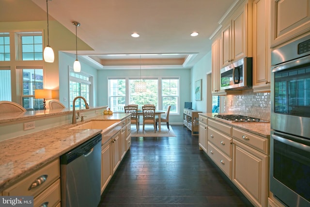 29486 Andrew Jackson Dr, Millsboro, DE 19966 - kitchen featuring a sink, appliances with stainless steel finishes, a raised ceiling, recessed lighting, and dark wood-type flooring
