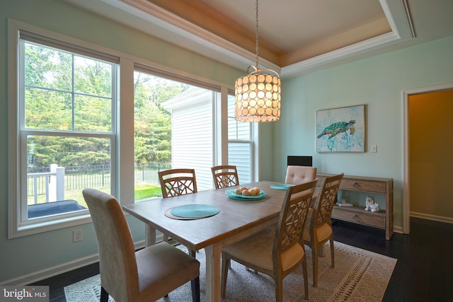 29486 Andrew Jackson Dr, Millsboro, DE 19966 - dining room with baseboards, a raised ceiling, and dark wood-style flooring
