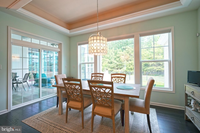 29486 Andrew Jackson Dr, Millsboro, DE 19966 - dining area featuring a tray ceiling, dark wood-type flooring, baseboards, a chandelier, and ornamental molding