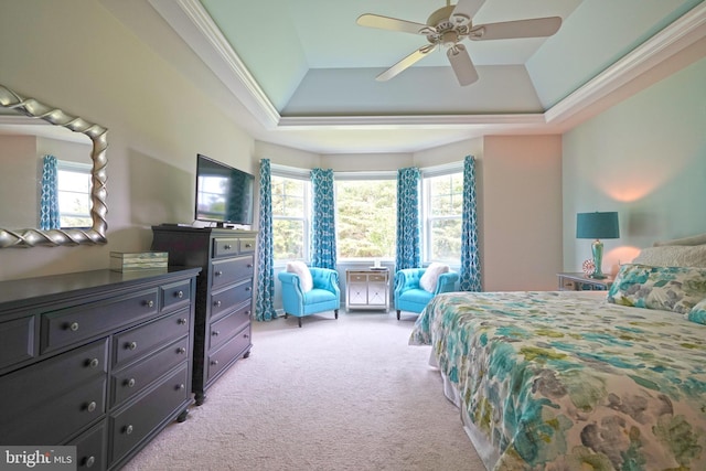 29486 Andrew Jackson Dr, Millsboro, DE 19966 - bedroom featuring a tray ceiling, light colored carpet, and a ceiling fan