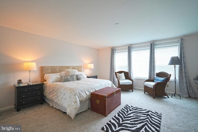 29486 Andrew Jackson Dr, Millsboro, DE 19966 - bedroom with light carpet and baseboards