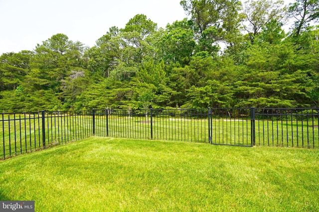 29486 Andrew Jackson Dr, Millsboro, DE 19966 - view of yard