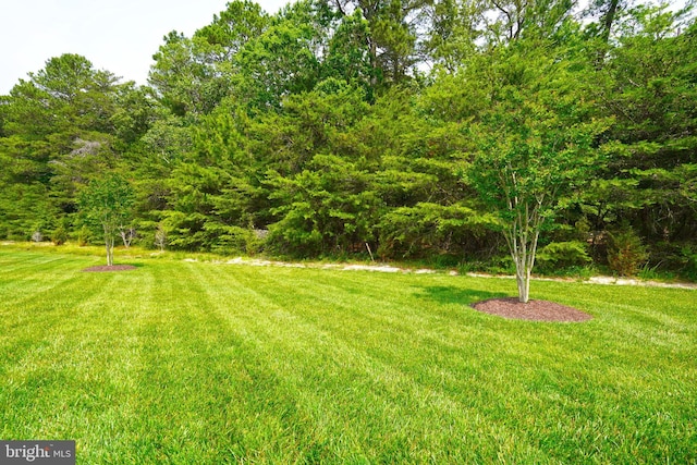 29486 Andrew Jackson Dr, Millsboro, DE 19966 - view of green lawn