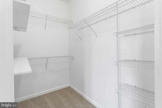 326 Iannelli Rd, Clarksboro, NJ 08020 - spacious closet featuring carpet