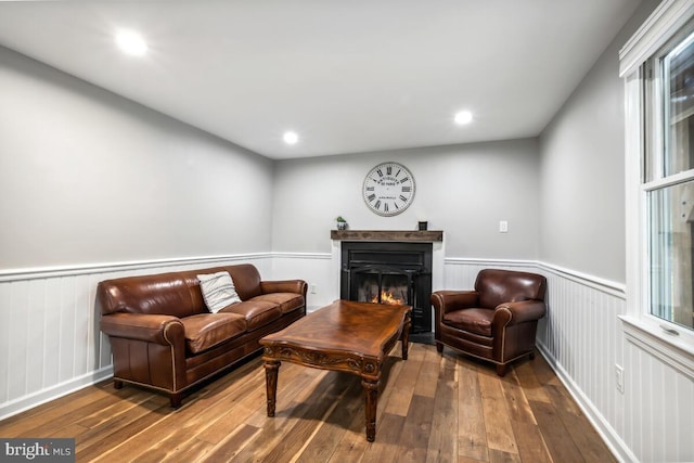 11636 Doxdam Ter, Germantown, MD 20876 - living area featuring hardwood / wood-style flooring, wainscoting, a warm lit fireplace, and recessed lighting