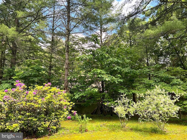 11882 Bumbarger Cir, Petersburg, PA 16669 - view of yard