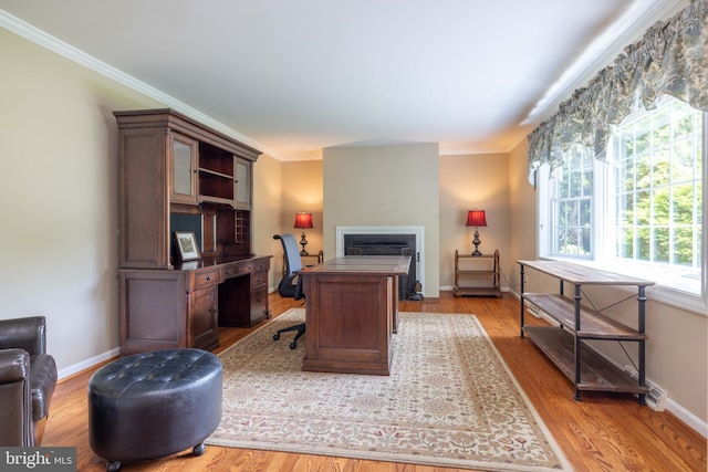 17 Bridleshire Rd, Newark, DE 19711 - office area featuring healthy amount of natural light, ornamental molding, wood finished floors, and baseboards