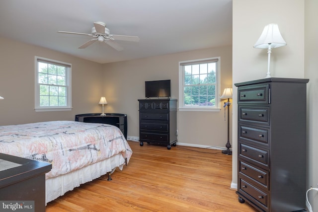 17 Bridleshire Rd, Newark, DE 19711 - bedroom with multiple windows, light wood-style floors, and baseboards