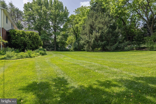 17 Bridleshire Rd, Newark, DE 19711 - view of grassy yard