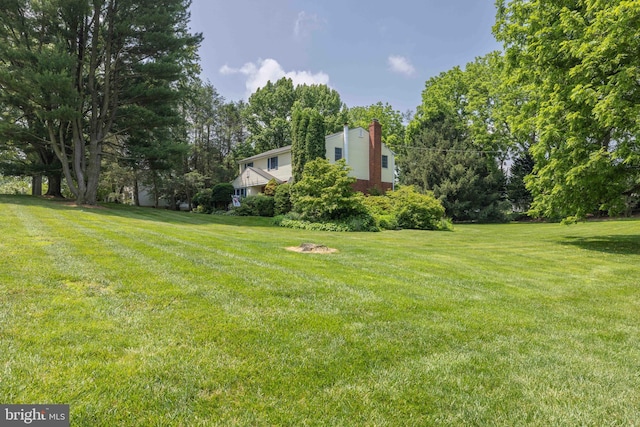 17 Bridleshire Rd, Newark, DE 19711 - view of grassy yard