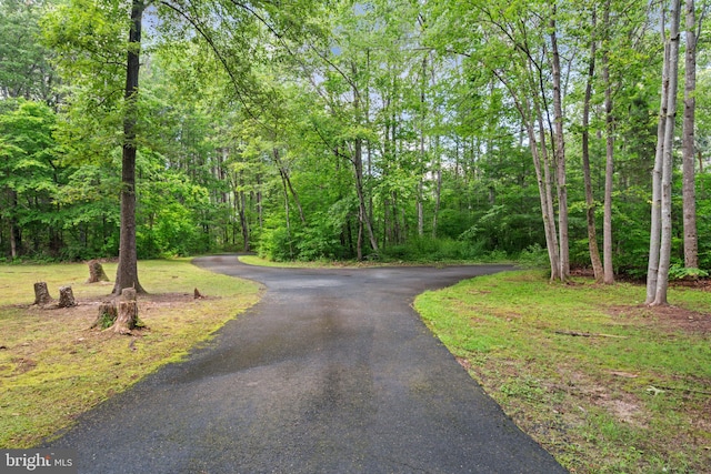 175 Mt Hope Church Rd, Stafford, VA 22554 - view of asphalt street featuring a view of trees