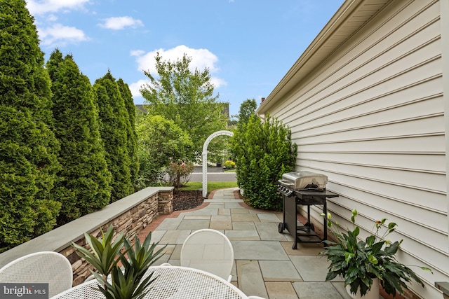 3750 Christopher Day Rd, Doylestown, PA 18902 - view of patio featuring grilling area
