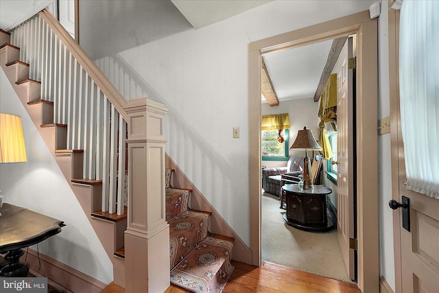 13220 Bank St, Bishopville, MD 21813 - stairway with wood finished floors