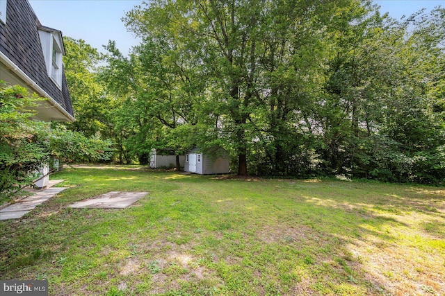 13220 Bank St, Bishopville, MD 21813 - view of green lawn