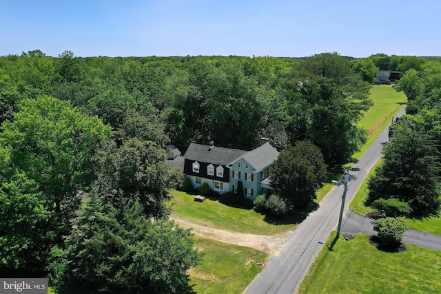 13220 Bank St, Bishopville, MD 21813 - view from above of property with a heavily wooded area
