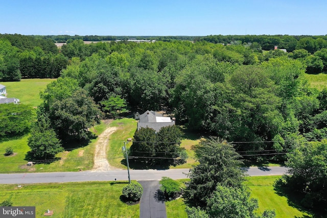 13220 Bank St, Bishopville, MD 21813 - aerial view of a heavily wooded area