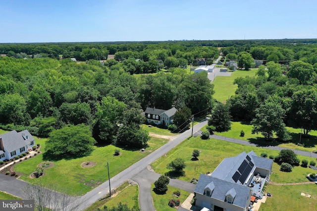 13220 Bank St, Bishopville, MD 21813 - drone / aerial view of a forest