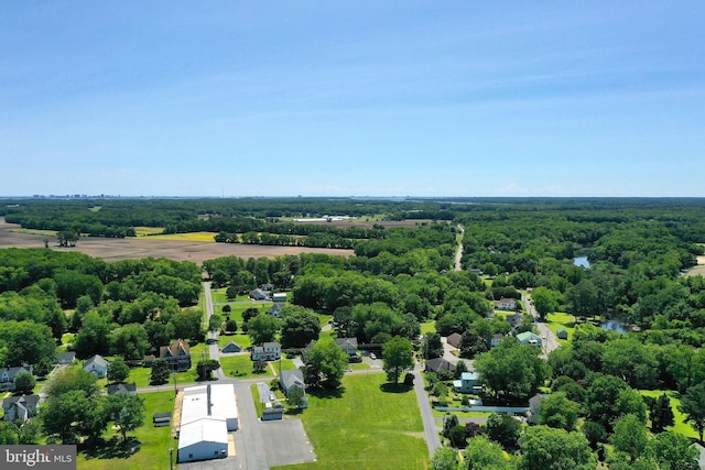 13220 Bank St, Bishopville, MD 21813 - drone / aerial view