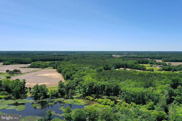 13220 Bank St, Bishopville, MD 21813 - bird's eye view of a forest and a nearby body of water
